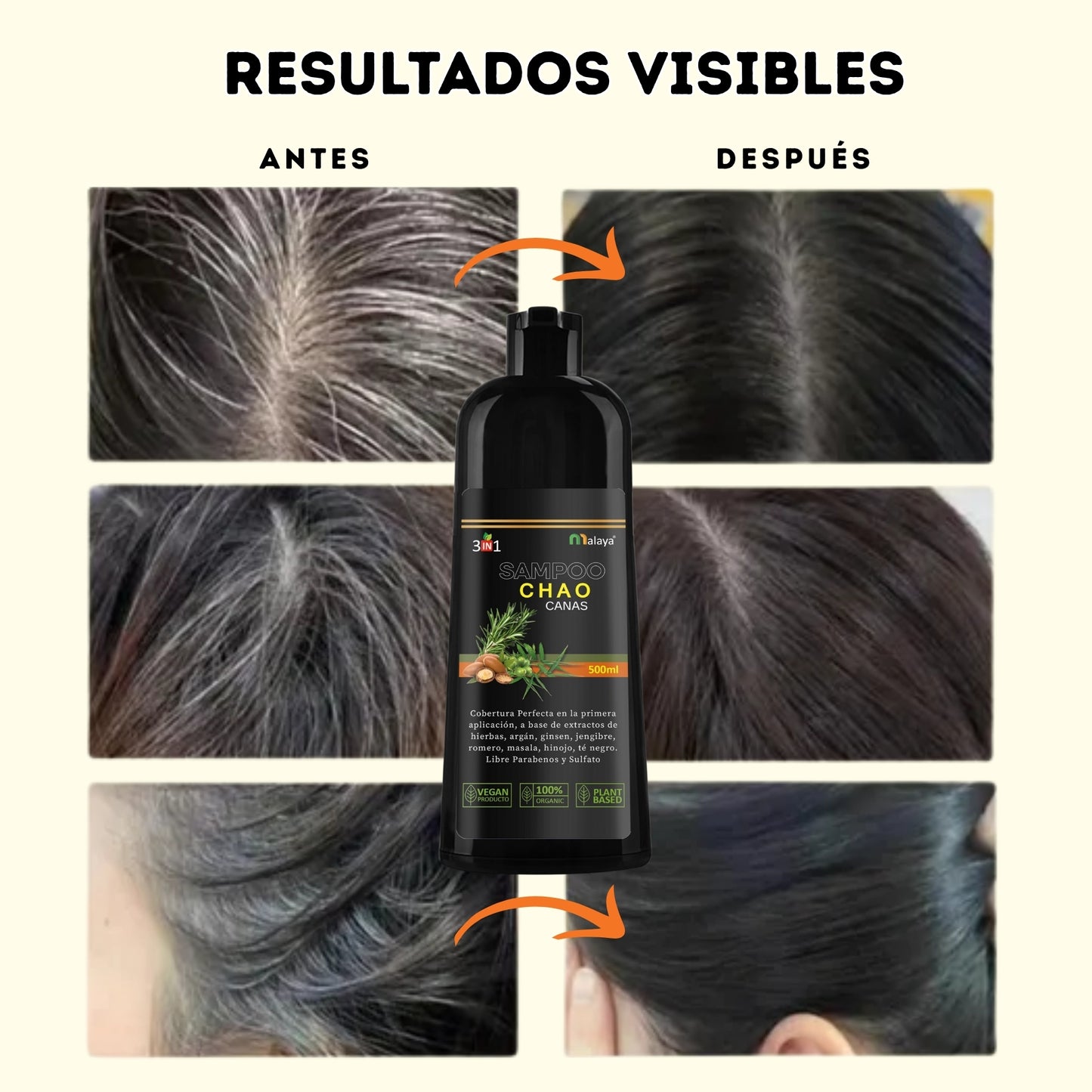 Shampoo Chao Canas Tratmiento