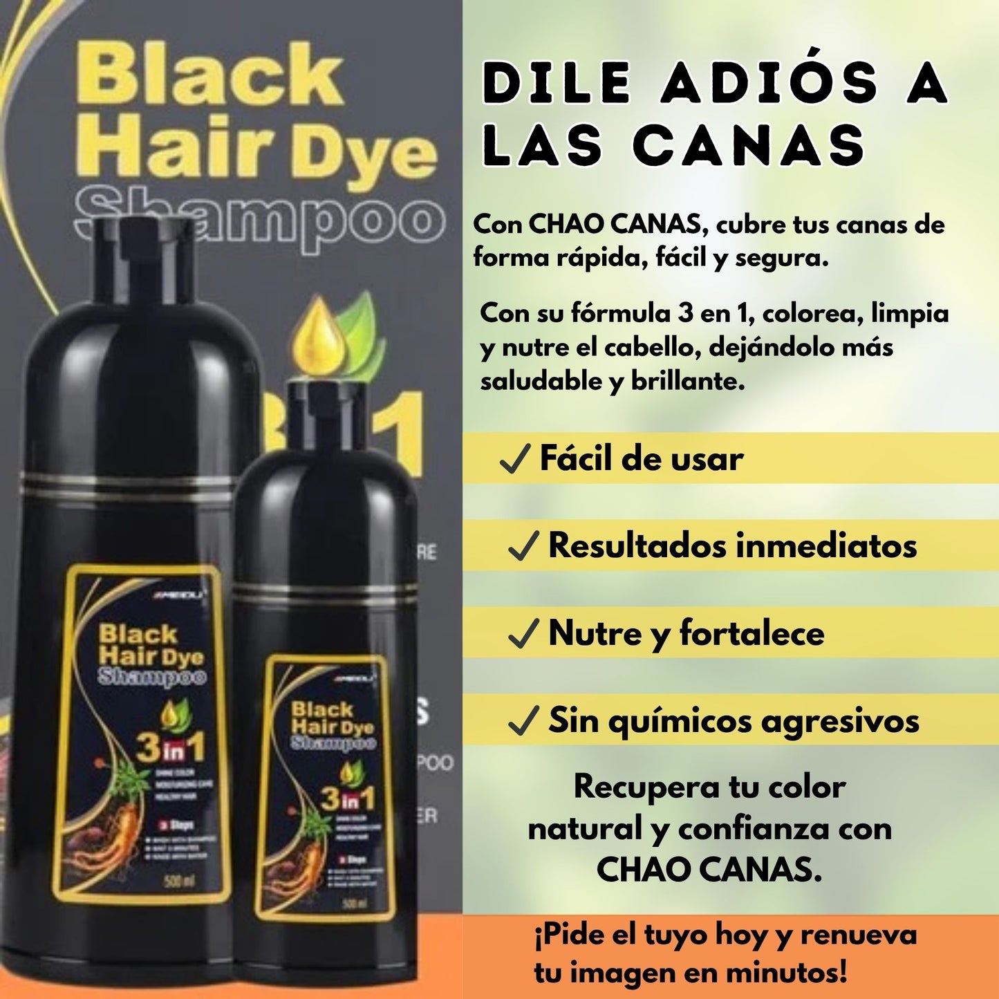 Shampoo Chao Canas Tratmiento